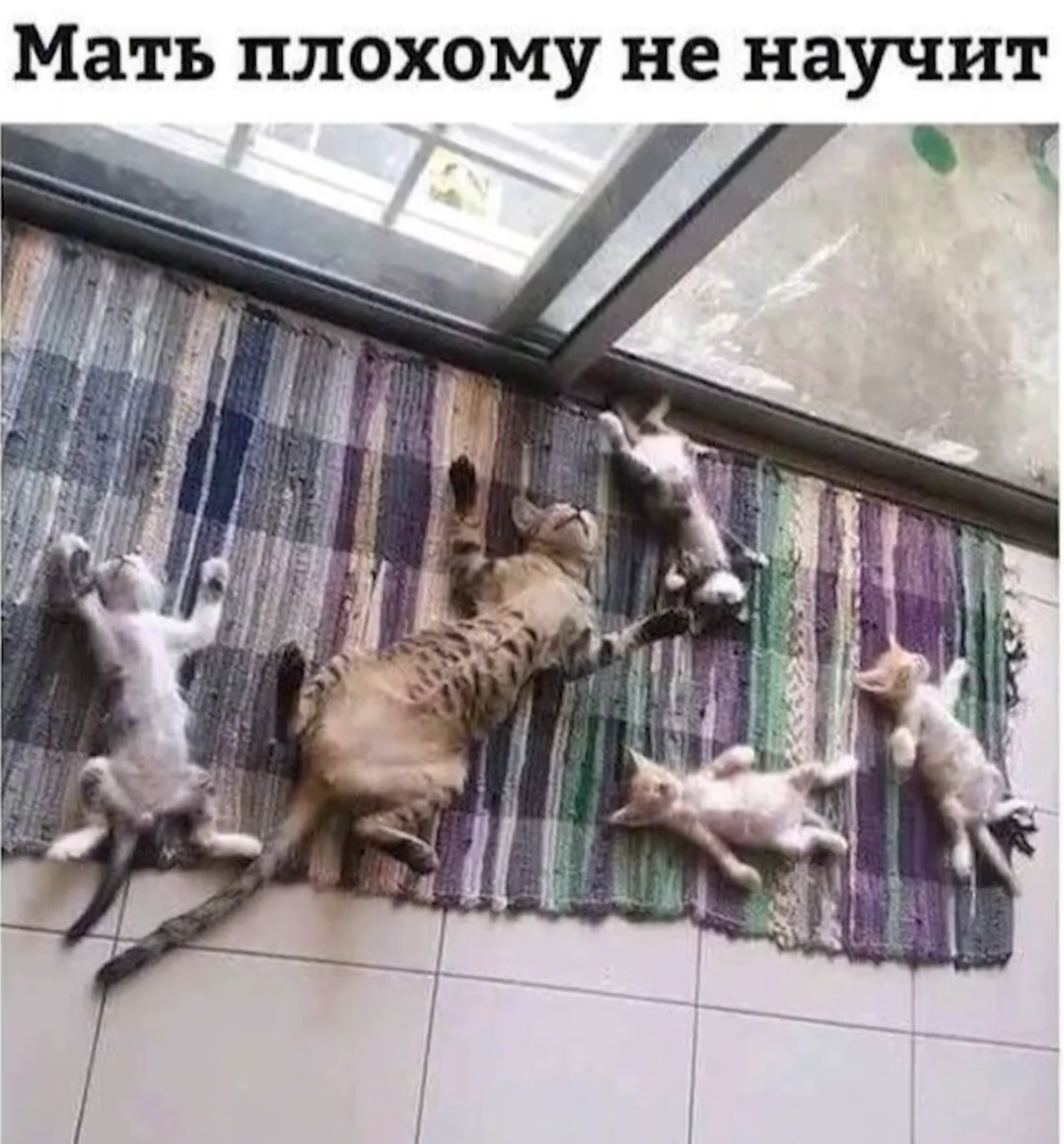 Медиа из поста